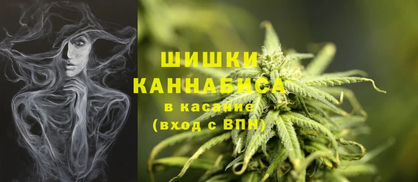 стафф Верхний Тагил
