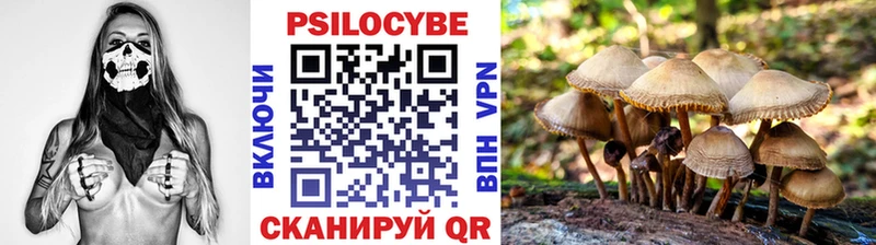Галлюциногенные грибы Cubensis  Купить где  Мосальск 